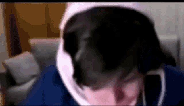 a blurry picture of a person wearing a mask and a hoodie .