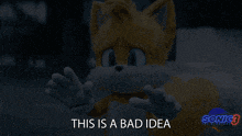 tails from sonic the hedgehog has a sad look on his face and says this is a bad idea