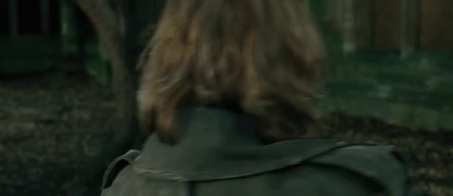 Harry Potter Brendan Gleeson GIF - Harry Potter Brendan Gleeson Alastor Moody GIFs