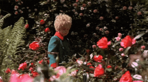 a little boy in a blue jacket is standing in a garden surrounded by pink flowers