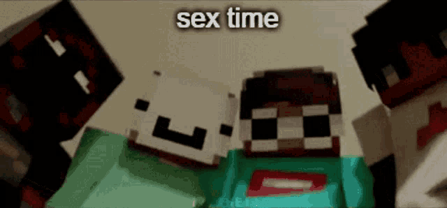 a group of minecraft characters are posing for a picture with the words sex time written on the bottom