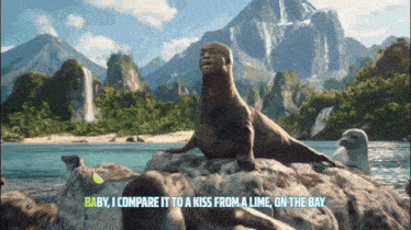 a sea lion is sitting on a rock with the words baby i compare it to a kiss from a lime on the bay below it