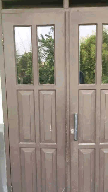 a door with a reflection of trees in the window