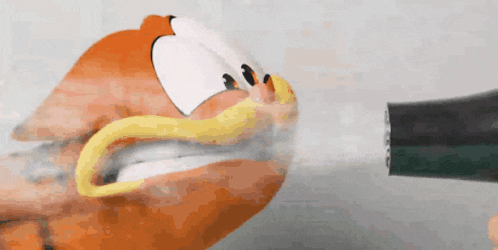a stuffed animal is blow dried with a hair dryer