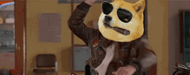 a doge is wearing sunglasses and smoking a cigar while wearing a leather jacket .