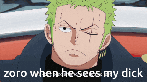 a cartoon of a man with green hair and the words " zoro when he sees my dick "
