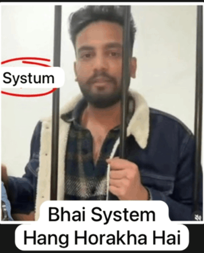 Elvish Bhai System Hang GIF - Elvish Bhai System Hang GIFs