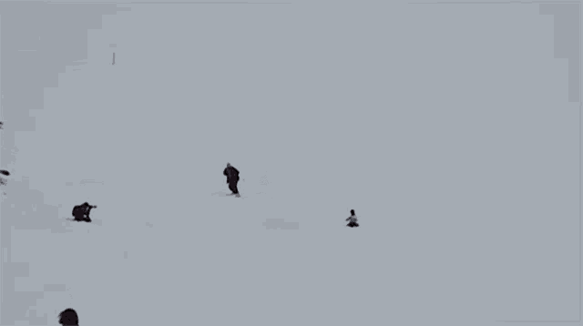a group of people are riding skis down a snow covered slope .