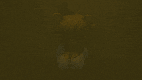 a teddy bear in a dark room with its eyes visible