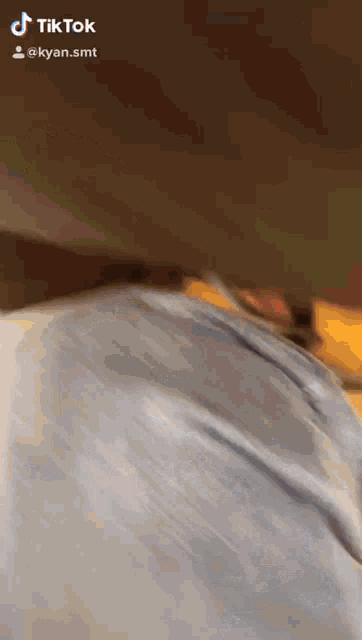 a close up of a person 's butt with a tiktok watermark