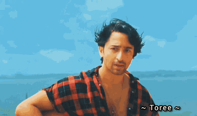 a man in a plaid shirt stands in front of a body of water with the word toree below him