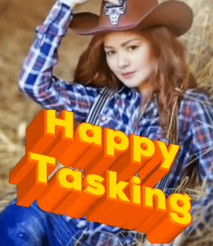 a woman wearing a cowboy hat and a plaid shirt says " happy tasking "