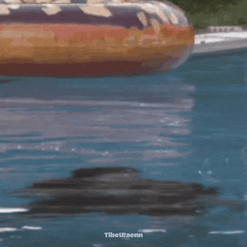 a man with a beard is floating in a swimming pool