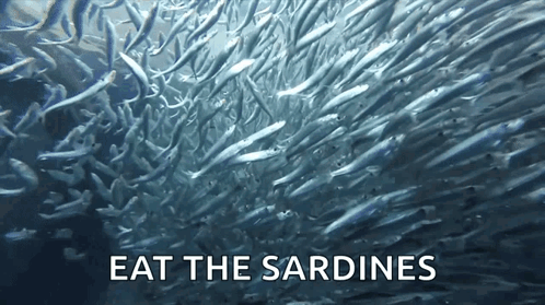 Sardines National Sardines Day GIF - Sardines National Sardines Day Sardines Day GIFs