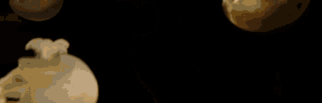 a group of jellyfish are floating in the water against a black background .