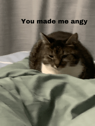 Angry GIF - Angry GIFs