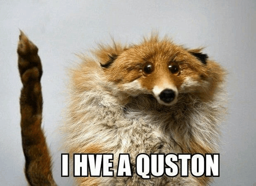 a stuffed fox that says i have a quston on the bottom