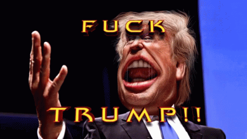 Trump Maga GIF - Trump Maga Donaldtrump GIFs