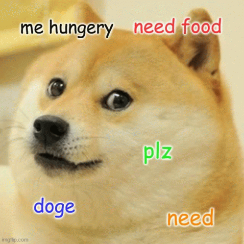 Doge Food GIF - Doge Food GIFs