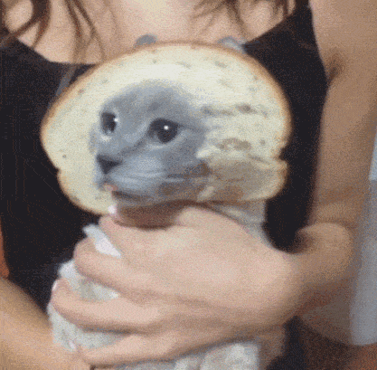 Most Loved And Yummy Sandwich GIF - Most Loved And Yummy Sandwich GIFs