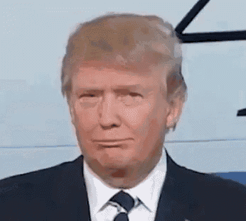 Reaction Trump GIF - Reaction Trump Really GIFs