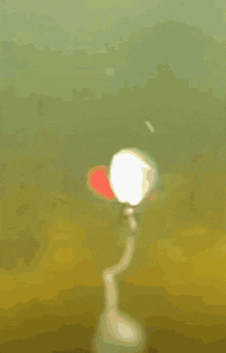 a cartoon drawing of a person holding a red flower