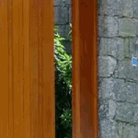 a wooden door with a brick wall in the background