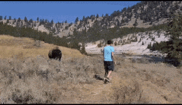 Bison Walking Massive Bison GIF - Bison Walking Massive Bison Mad Walking With Bison GIFs