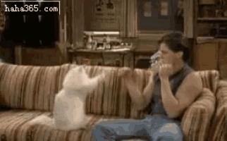 a man is sitting on a couch with a cat playing with him .