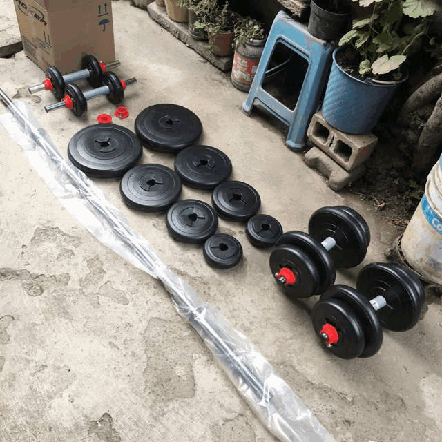 a row of dumbbells and a barbell are lined up on the ground