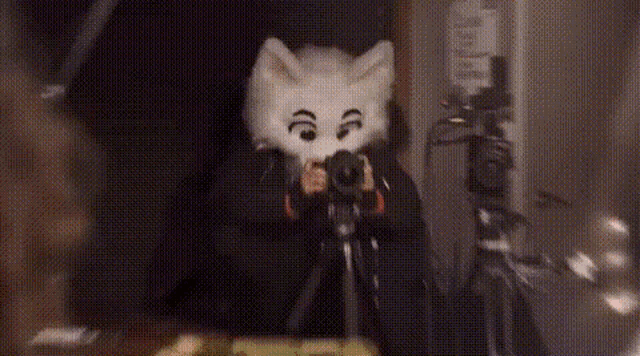a person wearing a fox mask is taking a picture of themselves with a camera .