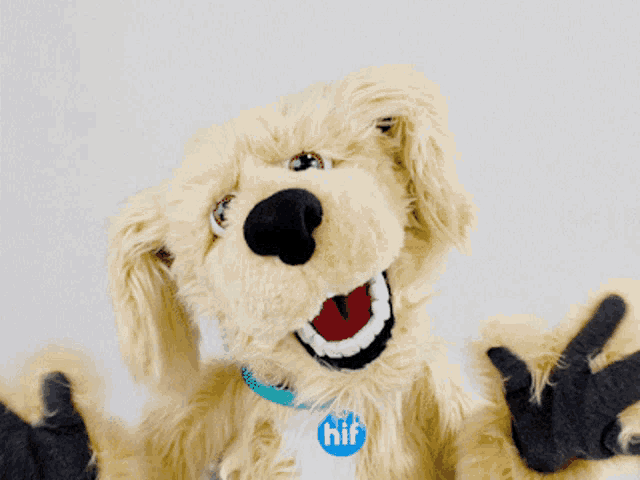 a stuffed animal with a blue badge that says hif