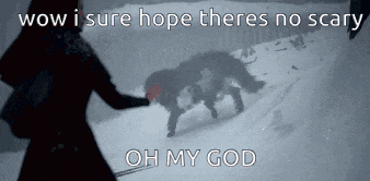 a woman is walking in the snow with a dog and says wow i sure hope there is no scary oh my god .