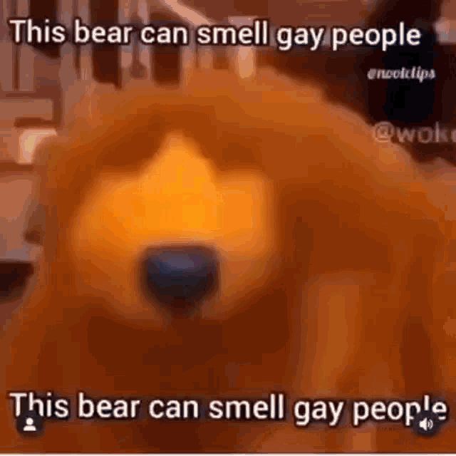 Bear Gay GIF - Bear Gay Smell Gay People GIFs