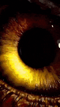 a close up of a person 's eye with a red reflection