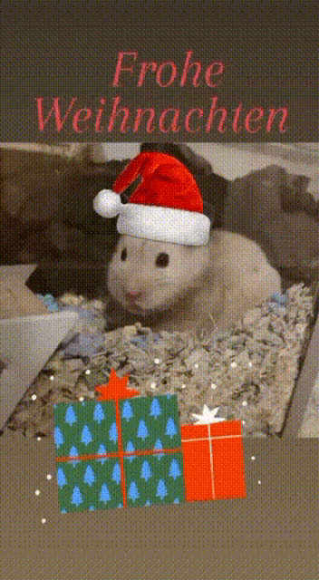 a picture of a hamster wearing a santa hat with the words frohe weihnachten below it
