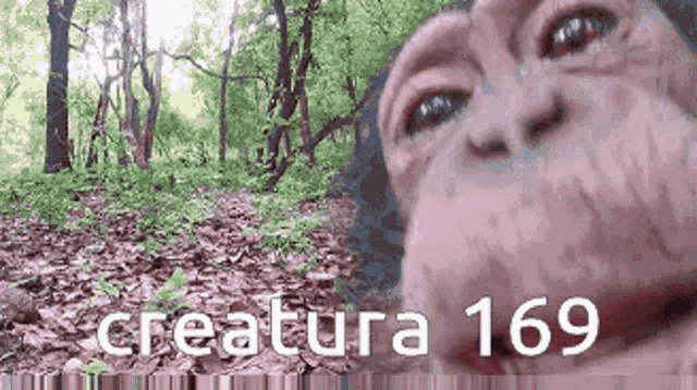 a close up of a monkey 's face in the woods with the words creature 169 below it
