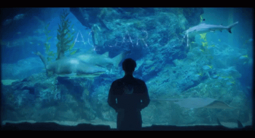 Aquarium Man GIF - Aquarium Man GIFs