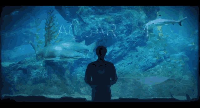 a man stands in front of an aquarium that says aquarium