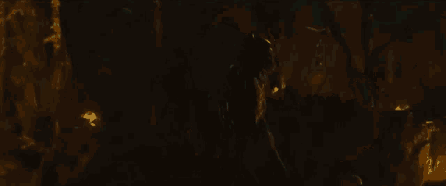 a man is holding a torch in a dark forest .