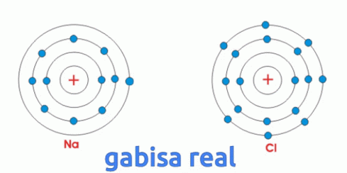 Gabisa Gaby GIF - Gabisa Gaby Isa GIFs