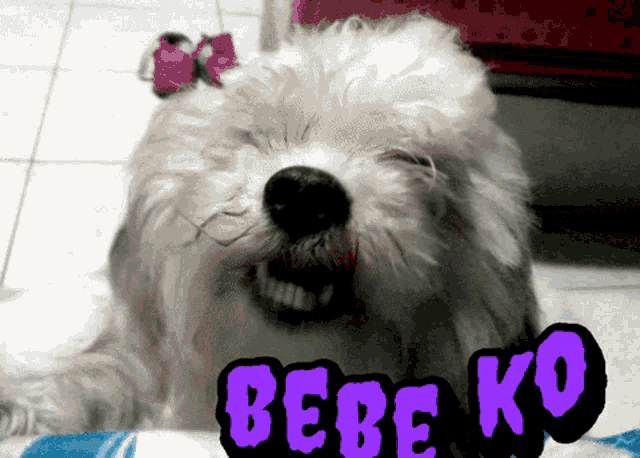 a dog with its mouth open and a sticker that says bebe ko on it