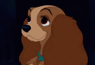 Disney Lady And The Tramp GIF - Disney Lady And The Tramp Dog Cocker GIFs