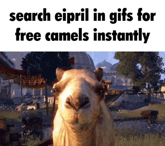 a picture of a camel with the words " search eipril in gifs for free camels instantly "