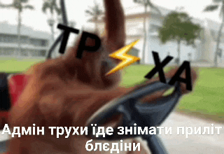 a dog is holding a steering wheel with a lightning bolt on it and the words tps xa written on it