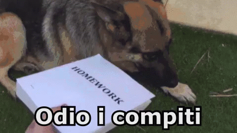 Compiti Odio I Compiti Cane Esame Scuola GIF - Homework Hate Homework Dog GIFs