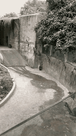 a black and white photo of a concrete wall with the number 503 visible
