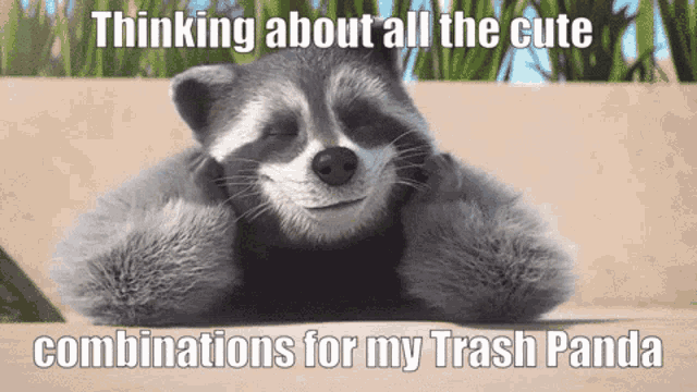 a raccoon laying on the ground with the caption thinking about all the cute combinations for my trash panda