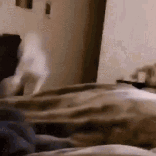 a cat is laying on a bed with a person 's feet in the background .