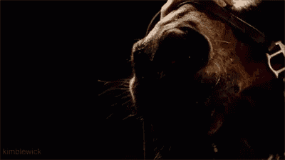 a close up of a dog 's nose with smoke coming out of it 's mouth in a dark room .
